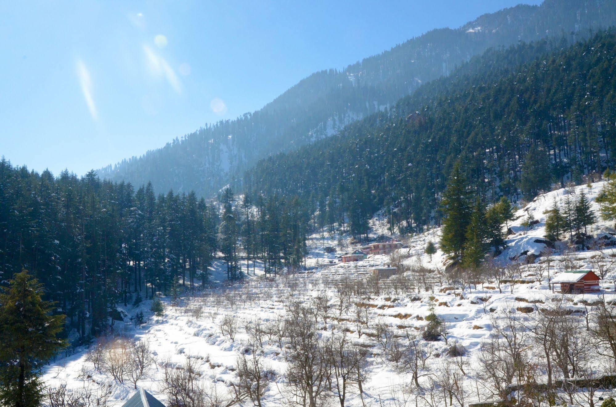 Hotel Manali Heights Exterior photo